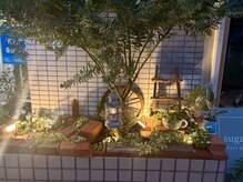 スガミ(sugami)の雰囲気（10年後も綺麗に薬剤にこだわり一人一人に合わせて施術いたします）