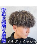 イナズマツイスト/金メッシュ/ブラウン