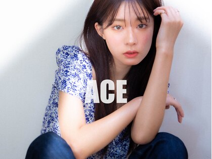 エース(ACE:Re)の写真