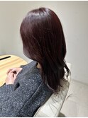 福井大和田 ボルドーカラー ワインレッド春カラーピンクパープル