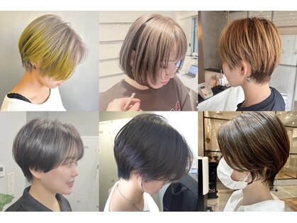 シア(sia)の写真