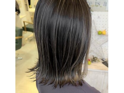 ルセロ(lucero)の写真