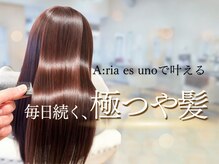 アーリアエスウーノ(A:ria es uno)