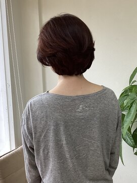 ジッピー(Zippy) ショート