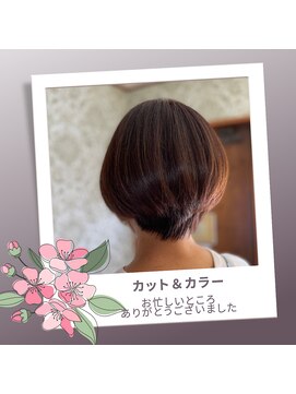 ビオラス(Vi-olus) 毎月のメンテナンス