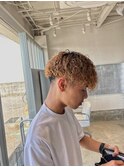 プードルパーマ