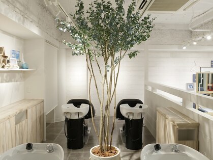 ムウ 難波(MOU)の写真