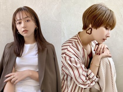 クオート(quoit)の写真