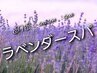 《5月限定☆ラベンダースパ》カット+カラー+EVEスパ+艶髪TR