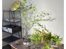 カウチソフ(kauti sofu)の雰囲気（居心地の良いひとときを♪[髪質改善/ショートカット/カラー]）