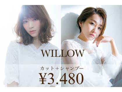 ウィロー(WILLOW)の写真