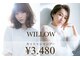 ウィロー(WILLOW)の写真
