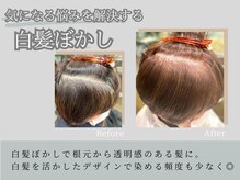 アリーマーケット(ALLEY MARKET)の雰囲気（気になる白髪もトレンド技術ですっきりカバー[白髪染め/ボブ]）
