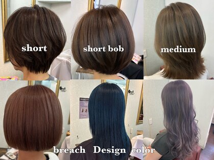 モッカ(mocca)の写真