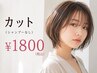 メンテナンスカット(単品シャンプーなし) 20分