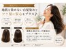 【頭皮が心配な方】地肌を染めない白髪染め＋カット＋トリートメント￥13,200-