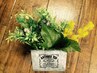 【植物系カラー】香草カラー＋デザインカット