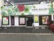 グリーンアップル(GREEN APPLE)の写真