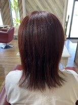 ルネッサンスヘアー ラファエロ(RAFFAELLO)&nbsp;エドルカラー