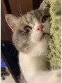 アンティガシス(Ａntiga VI) ペットの猫のポンちゃんをこよなく愛してます♪