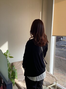 ジッピー(Zippy) デザインカラー