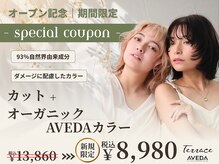 テラスアヴェダ(Terrace AVEDA)