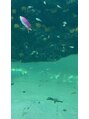 美容室インブルーム 水族館巡りしてます▲
