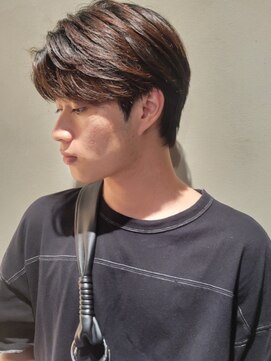 ニュートン(NEWTON) 【Newton×白鳥】ガイルヘア