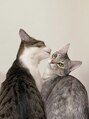 メルシー(merci.)&nbsp;猫2匹飼ってます♪癒しです^ ^
