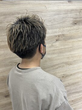 ヴィータアレグリア(Vita Alegria) メンズベリーショート