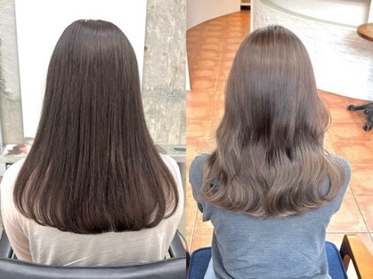 ピクシーボブ(Pixie Bob)の写真