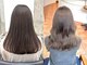 ピクシーボブ(Pixie Bob)の写真