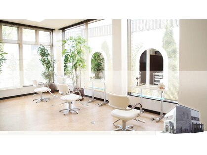 アウラヘアーの写真