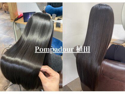 ポンパデュール(Pompadour)の写真