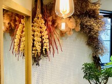 デイ(Day)の雰囲気（ドライフラワーや、多肉植物、たくさん緑がある店内。）