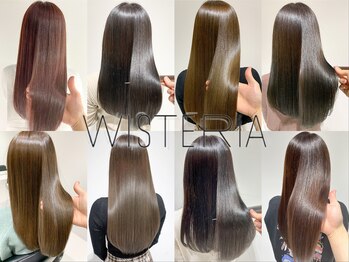 WISTERIA PLUS1 銀座一丁目【ウィステリア プラスワン】