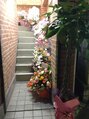 ヘアースタジオ ゴーゴー ヘアー(HAIR STUDIO GOGO HAIR) 2014年11月1日お店がオープンした時に頂いた植物やお花。