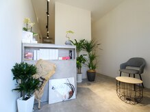 観葉植物がお出迎えしてくれます