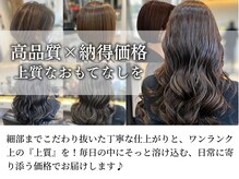 カラーラバー 日吉(color lover)の雰囲気(ワンランク上の上質な仕上がりを、毎月通える納得の価格で。)