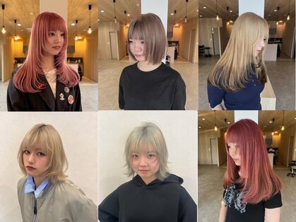 ミナリ(minari)の写真