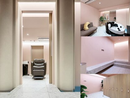 ルーム シンサイバシ(room shinsaibashi)の写真