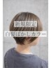 白髪ぼかしデザインカラー+似合わせカット(ナノバブル付)【福崎限定】