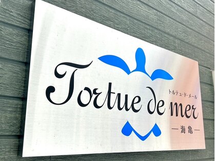 トルテュドメール海亀(Tortue de mer 海亀)の写真