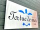 トルテュドメール海亀(Tortue de mer 海亀)の写真