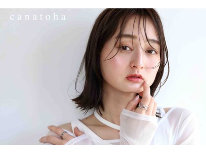 カナトハ(canatoha)の写真