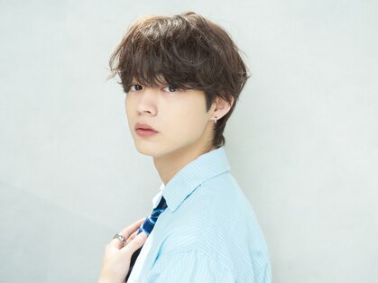 セリ(ceri)の写真