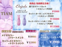 ティアム(TIAM)