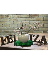 FELIZA　北習志野本店 【フェリーザ】