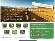 アメイジングヘアー 美沢店(AMAZING HAIR)の雰囲気（敏感肌に！髪と肌にも優しいノンジアミンカラー始めました）