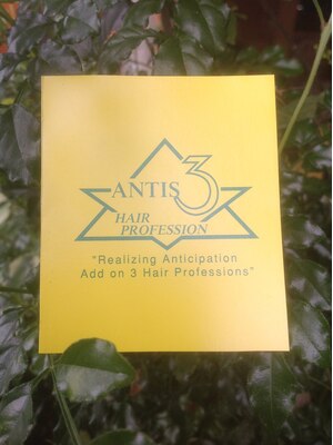 アンティース3 ヘアプロフェション(ANTIS3 HAIR PROFESSION)